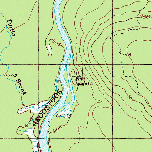 Topographic Map of Pine Island, ME