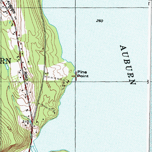 Topographic Map of Pine Point, ME