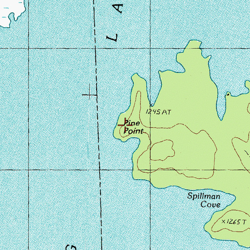 Topographic Map of Pine Point, ME