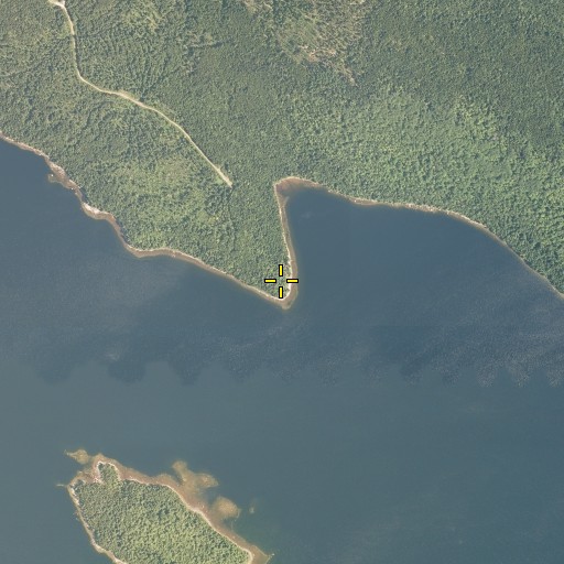 Aerial/Satellite Image of Pineo Point, ME