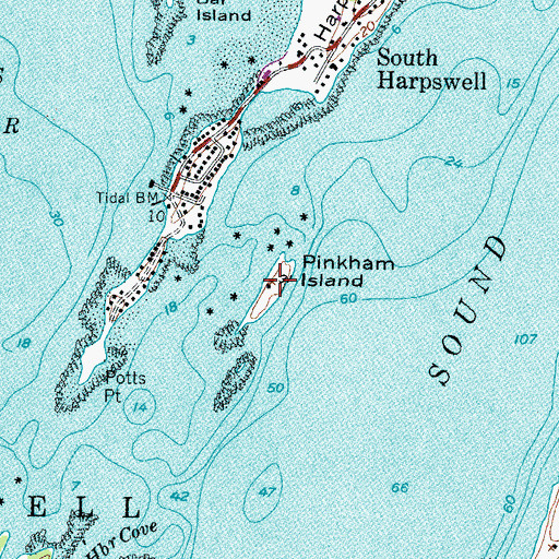 Topographic Map of Pinkham Island, ME