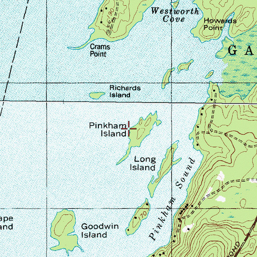Topographic Map of Pinkham Island, ME