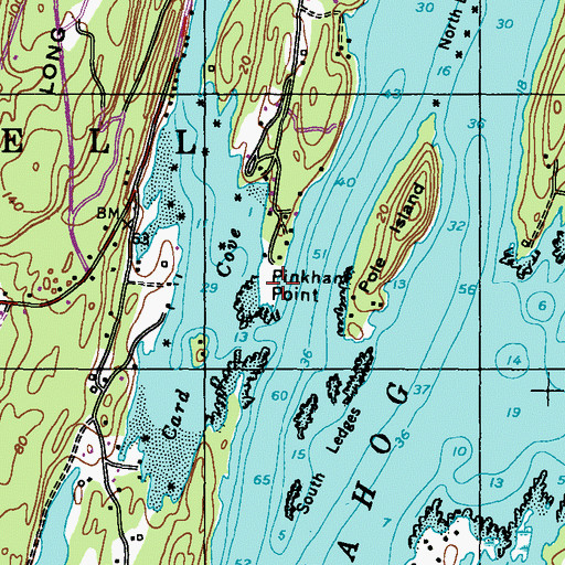 Topographic Map of Pinkham Point, ME