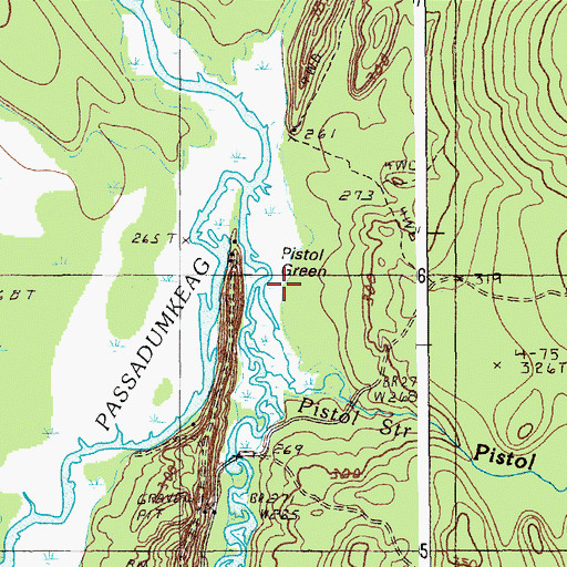 Topographic Map of Pistol Stream, ME