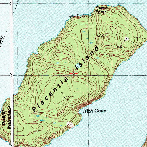 Topographic Map of Placentia Island, ME