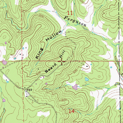 Topographic Map of Beard Hill, AR