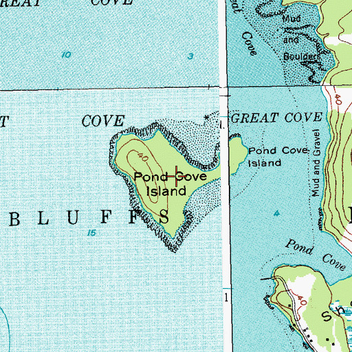 Topographic Map of Pond Cove Island, ME