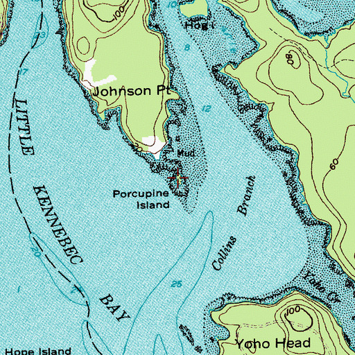 Topographic Map of Porcupine Island, ME