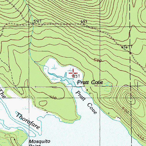 Topographic Map of Pratt Cove, ME