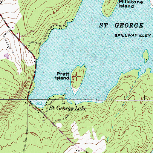 Topographic Map of Pratt Island, ME
