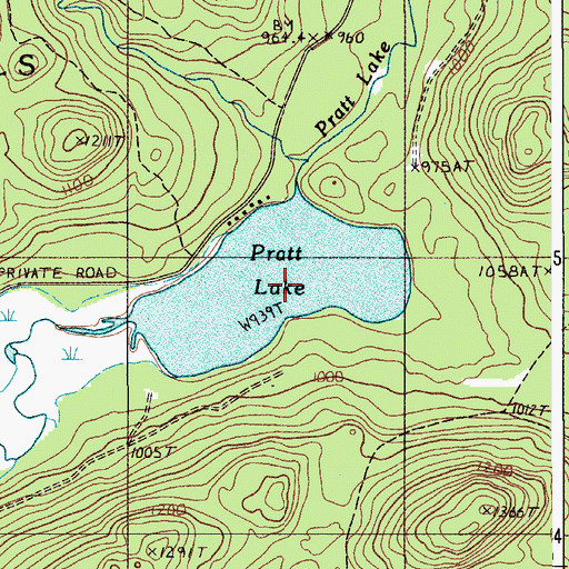 Topographic Map of Pratt Lake, ME