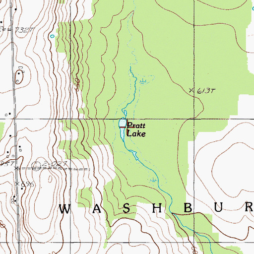 Topographic Map of Pratt Lake, ME
