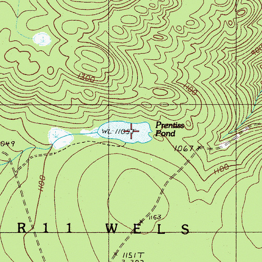 Topographic Map of Prentiss Pond, ME