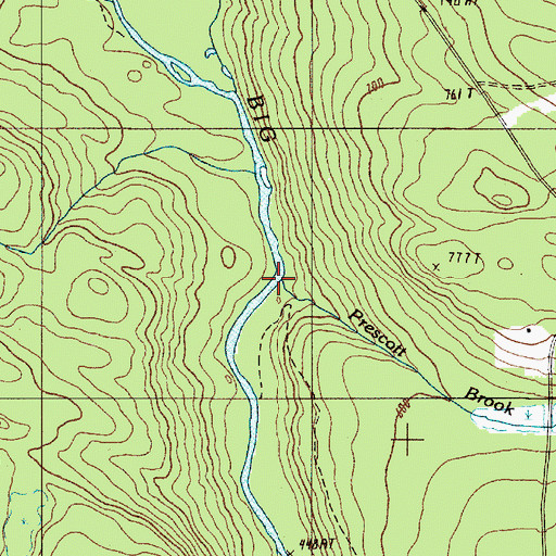 Topographic Map of Prescott Brook, ME