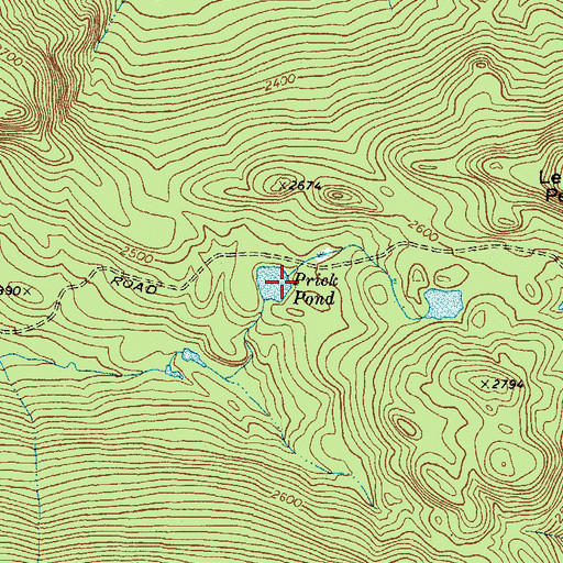 Topographic Map of Prick Pond, ME