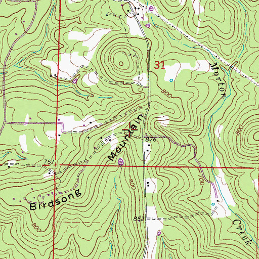 Topographic Map of Birdsong Mountain, AR