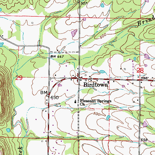 Topographic Map of Birdtown, AR