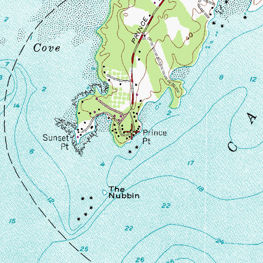 Topographic Map of Prince Point, ME