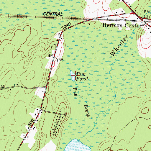Topographic Map of Pug Pond, ME