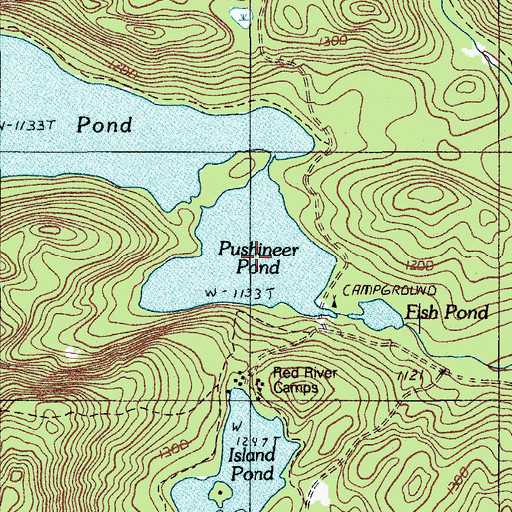 Topographic Map of Pushineer Pond, ME