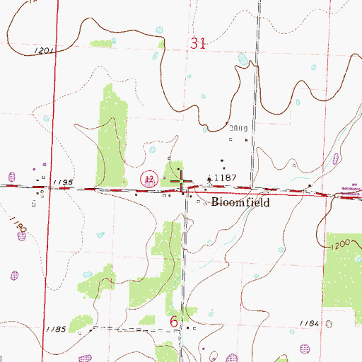 Topographic Map of Bloomfield, AR