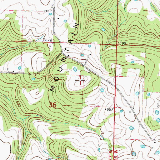 Topographic Map of Bohannan Mountain, AR