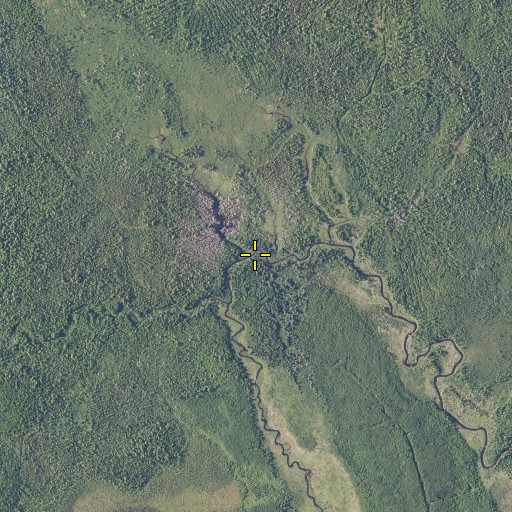 Aerial/Satellite Image of Rawlins Brook, ME