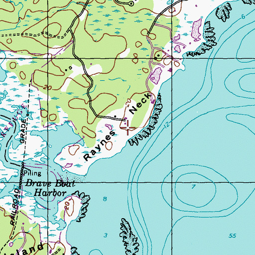 Topographic Map of Raynes Neck, ME
