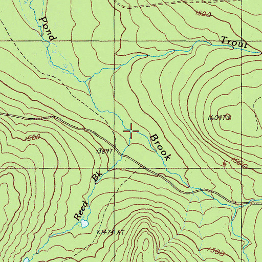 Topographic Map of Reed Brook, ME