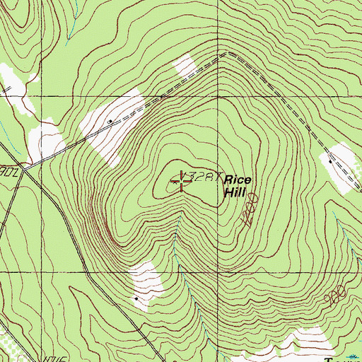Topographic Map of Rice Hill, ME
