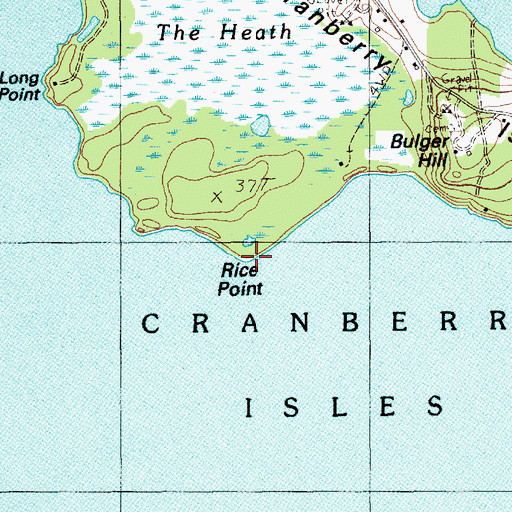 Topographic Map of Rice Point, ME