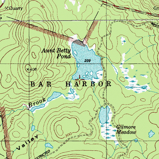Topographic Map of Richardson Brook, ME
