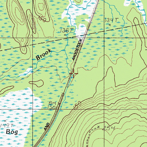 Topographic Map of Ricker Siding, ME