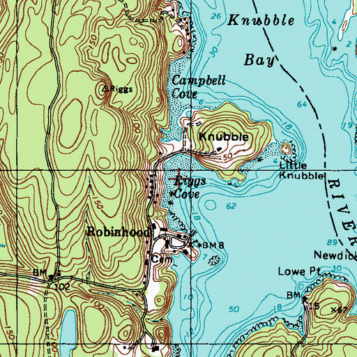 Topographic Map of Riggs Cove, ME
