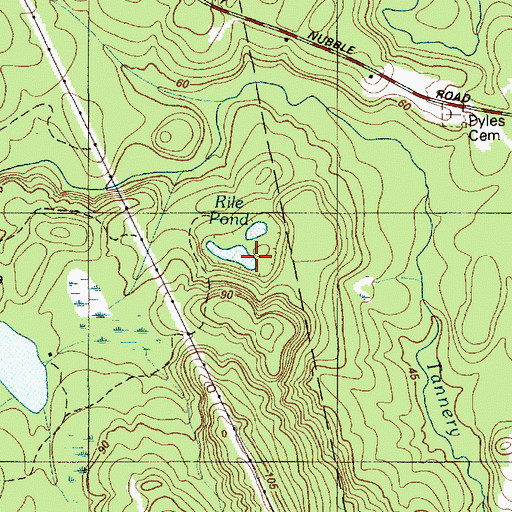 Topographic Map of Rile Pond, ME