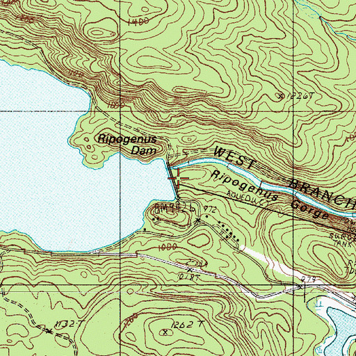 Topographic Map of Ripogenus Dam, ME