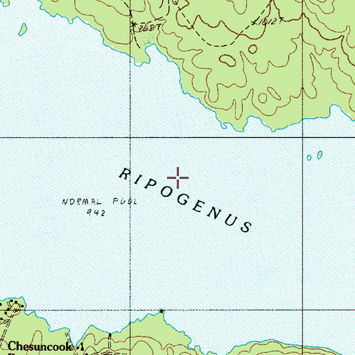 Topographic Map of Ripogenus Lake, ME