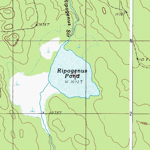 Topographic Map of Ripogenus Pond, ME