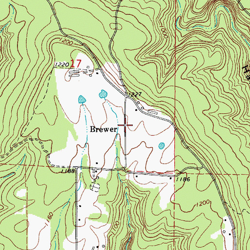 Topographic Map of Brewer, AR