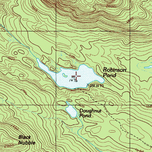 Topographic Map of Robinson Pond, ME