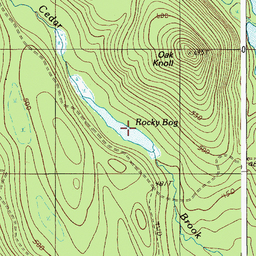 Topographic Map of Rocky Bog, ME