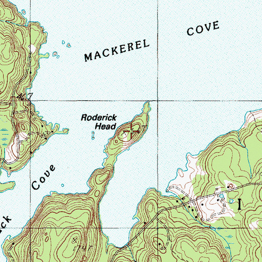 Topographic Map of Roderick Head, ME