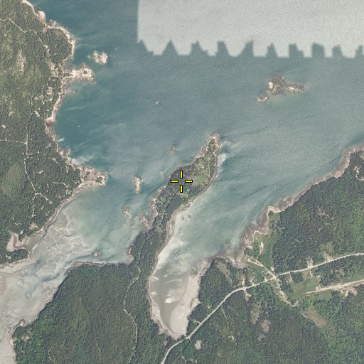 Aerial/Satellite Image of Roderick Head, ME