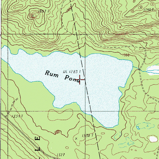 Topographic Map of Rum Pond, ME