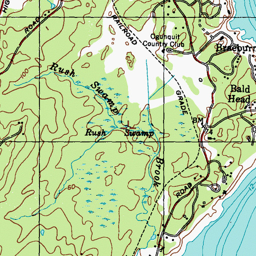 Topographic Map of Rush Swamp, ME