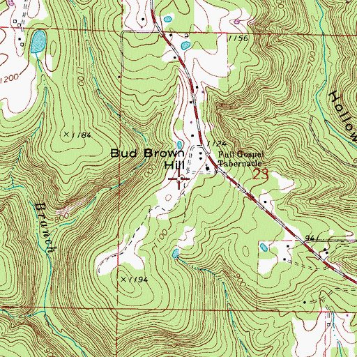 Topographic Map of Bud Brown Hill, AR