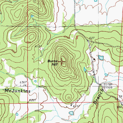 Topographic Map of Burns Hill, AR