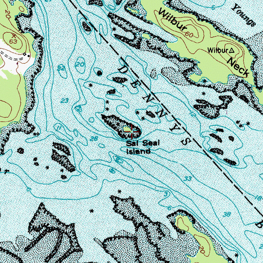 Topographic Map of Sal Seal Island, ME