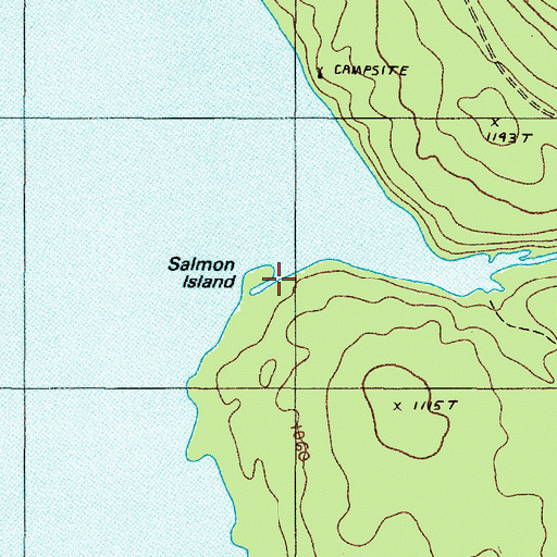 Topographic Map of Salmon Island, ME