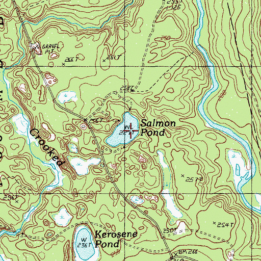 Topographic Map of Salmon Pond, ME